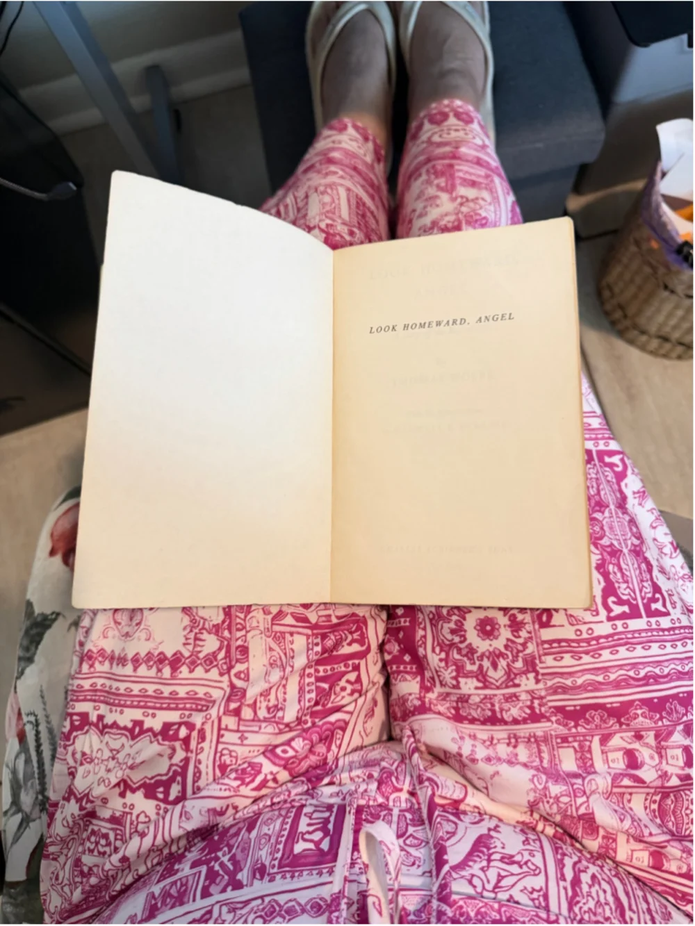 Look Homeward, Angel by Thomas Wolfe, Scribner Library Edition, Vintage Reads